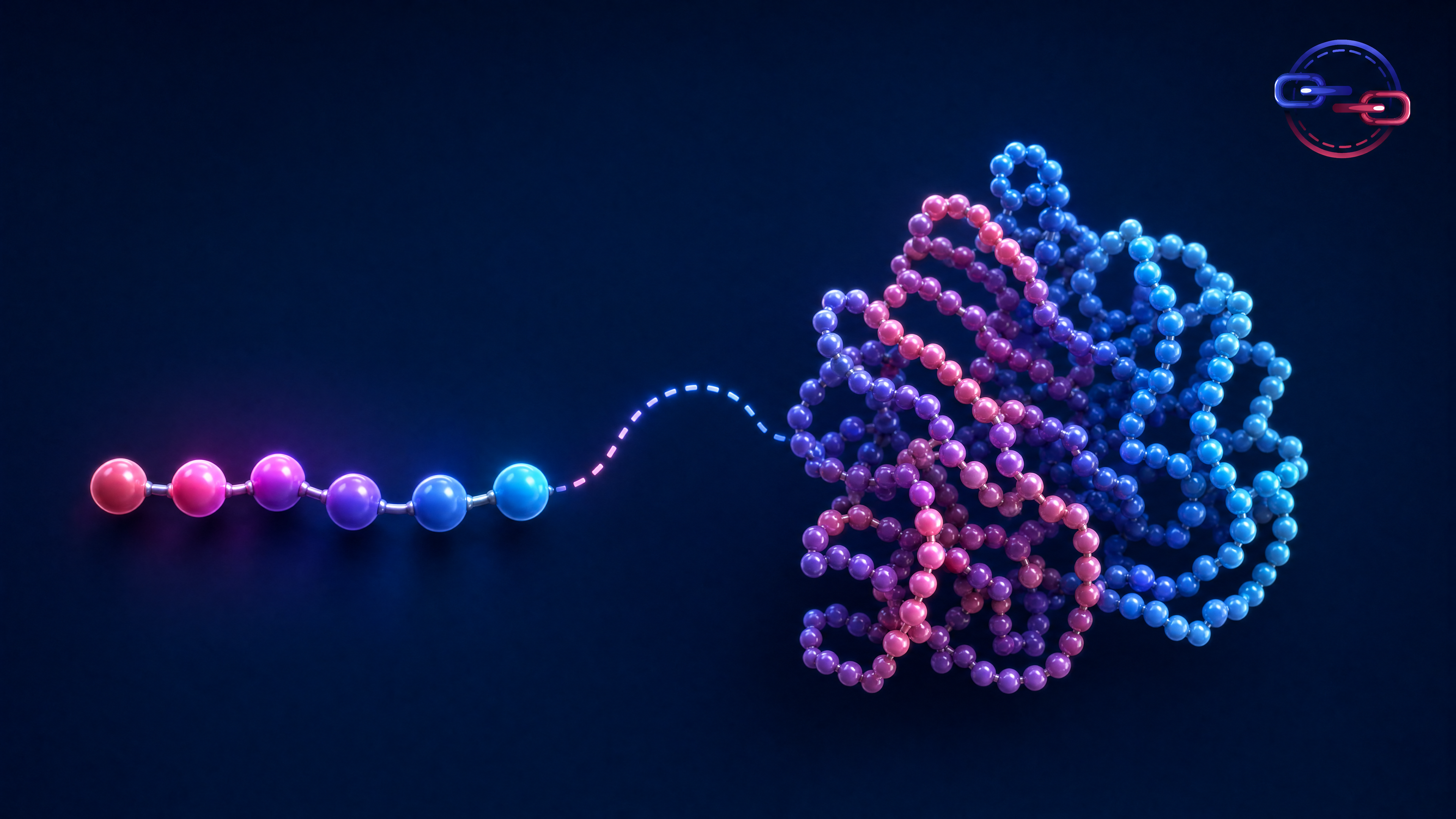 Peptides and Proteins: Understanding the Key Differences in Structure, Function, and Why Biology Treats Them Differently