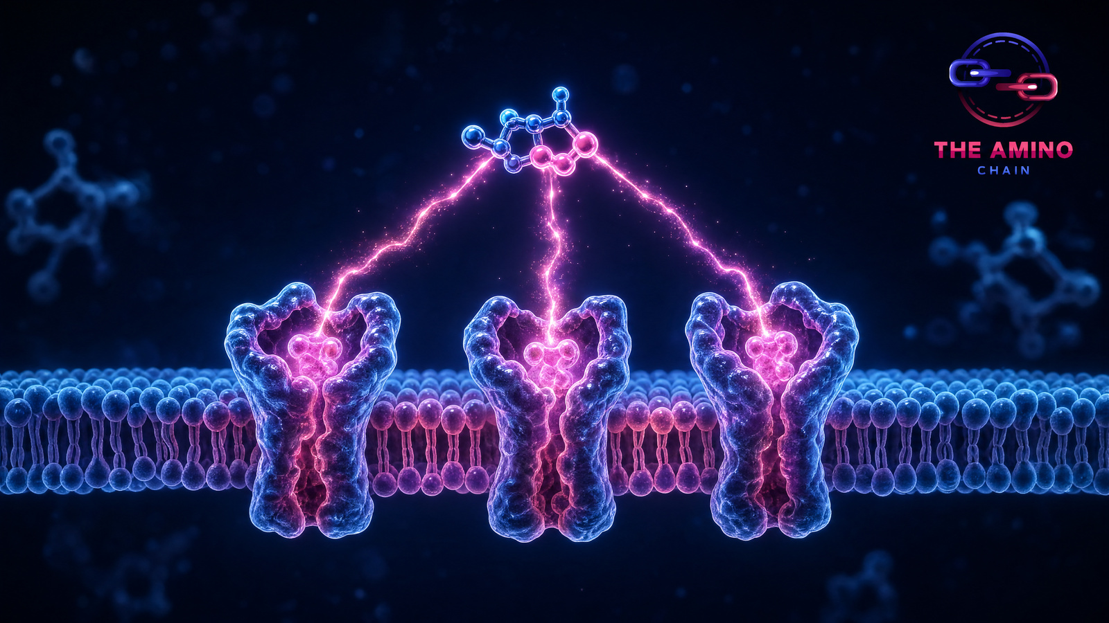 The Triple Agonist Revolution: How Multi-Receptor Peptides Are Changing Metabolic Research