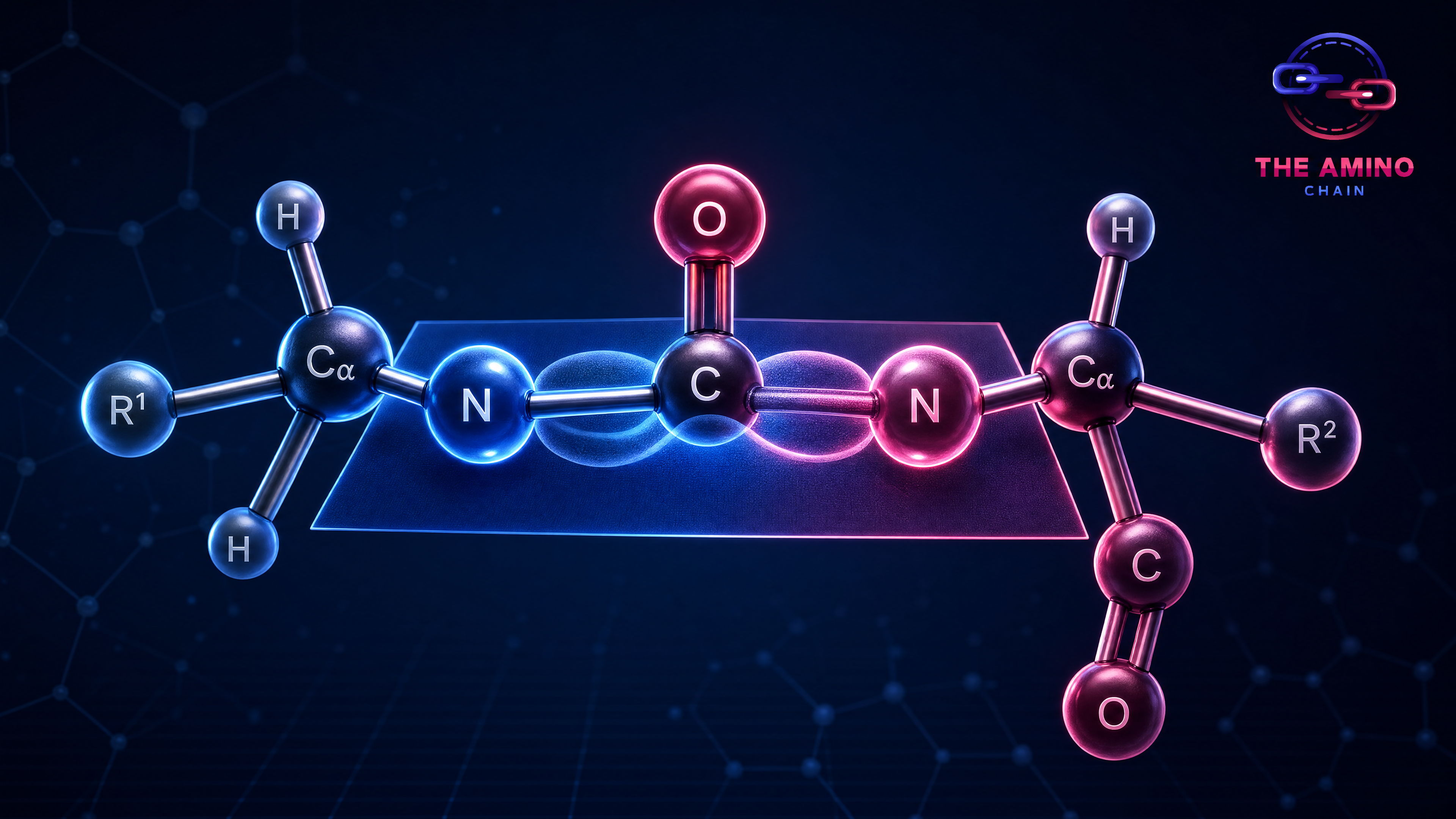 Understanding Peptide Bonds: The Chemistry That Holds It All Together